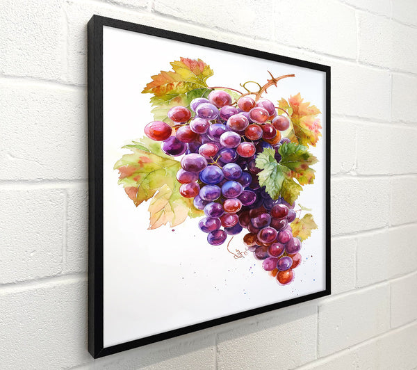 Purple Grape Harvest