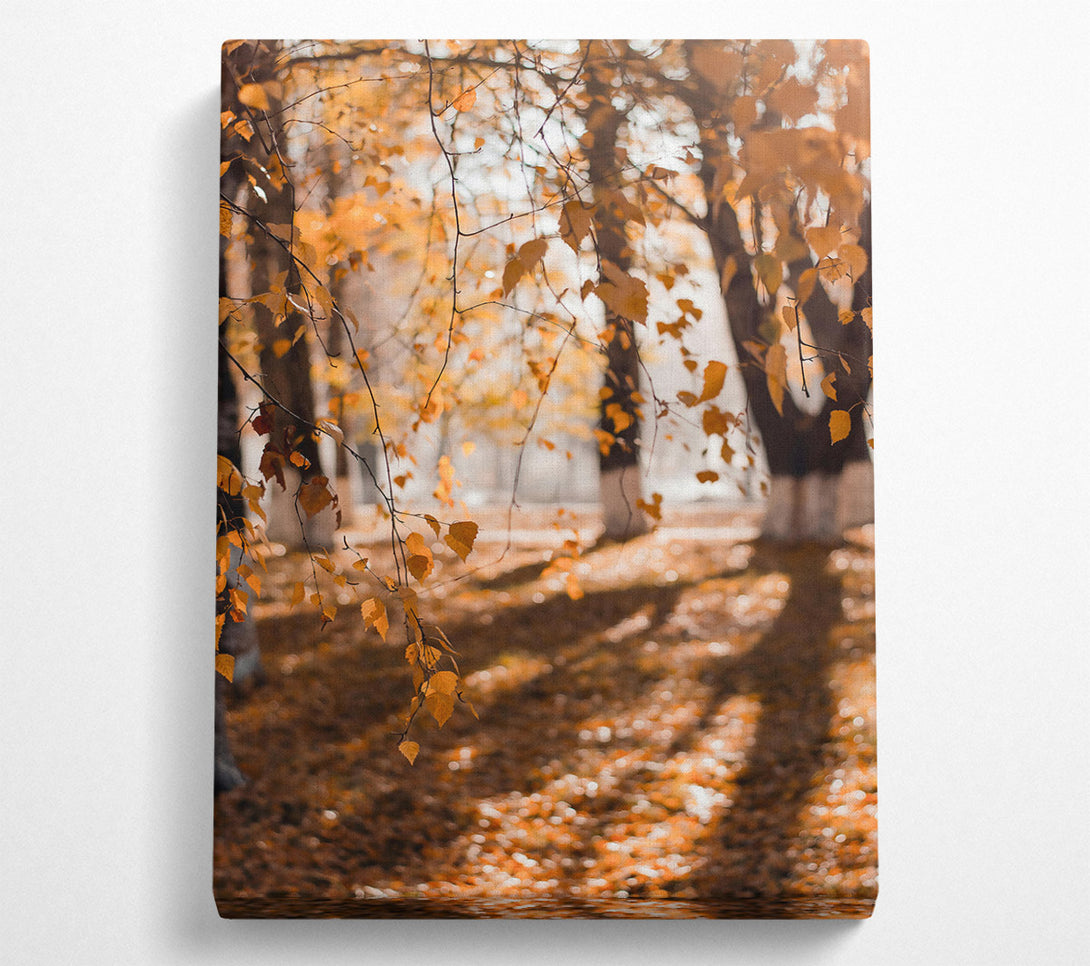  A Canvas Print of Golden Autumn Leaves Canvas Wall Art
