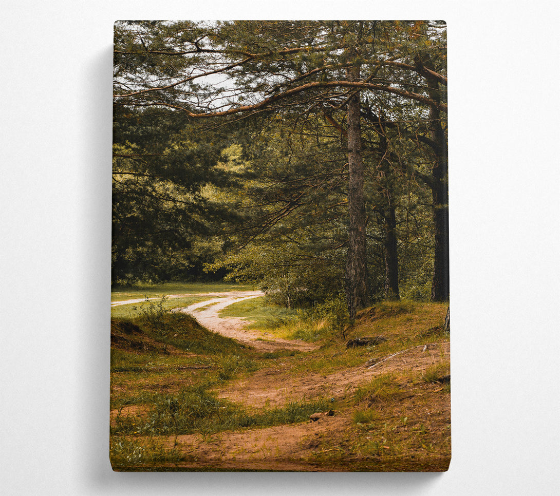  A Canvas Print of Green Forest Path Canvas Art