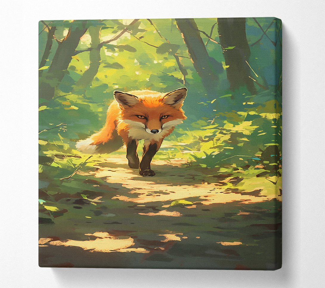  A Canvas Print of Orange Fox Path Canvas Print