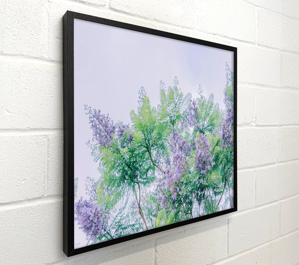 Lilac Canopy Dreams