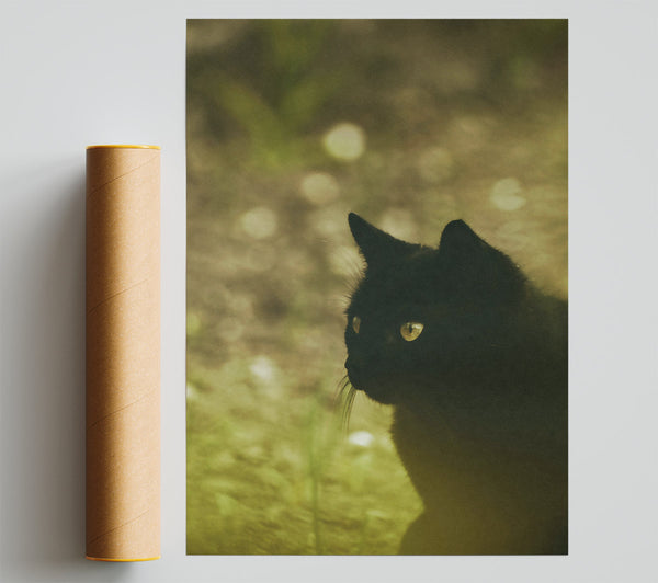 Golden Black Cat Glance Print