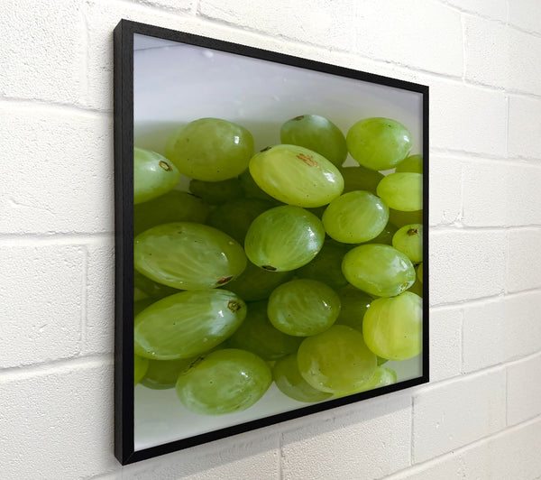 Green Grape Symphony