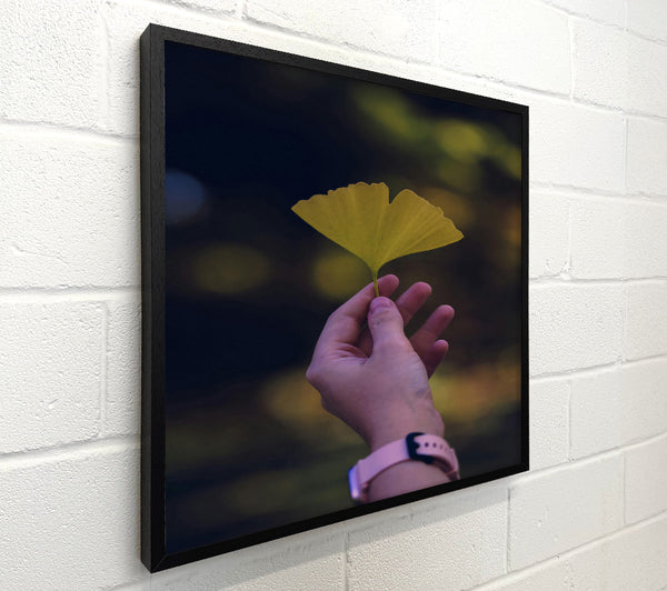 Golden Leaf In Hand