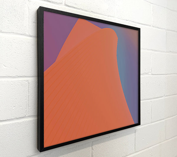 The Coral Curve