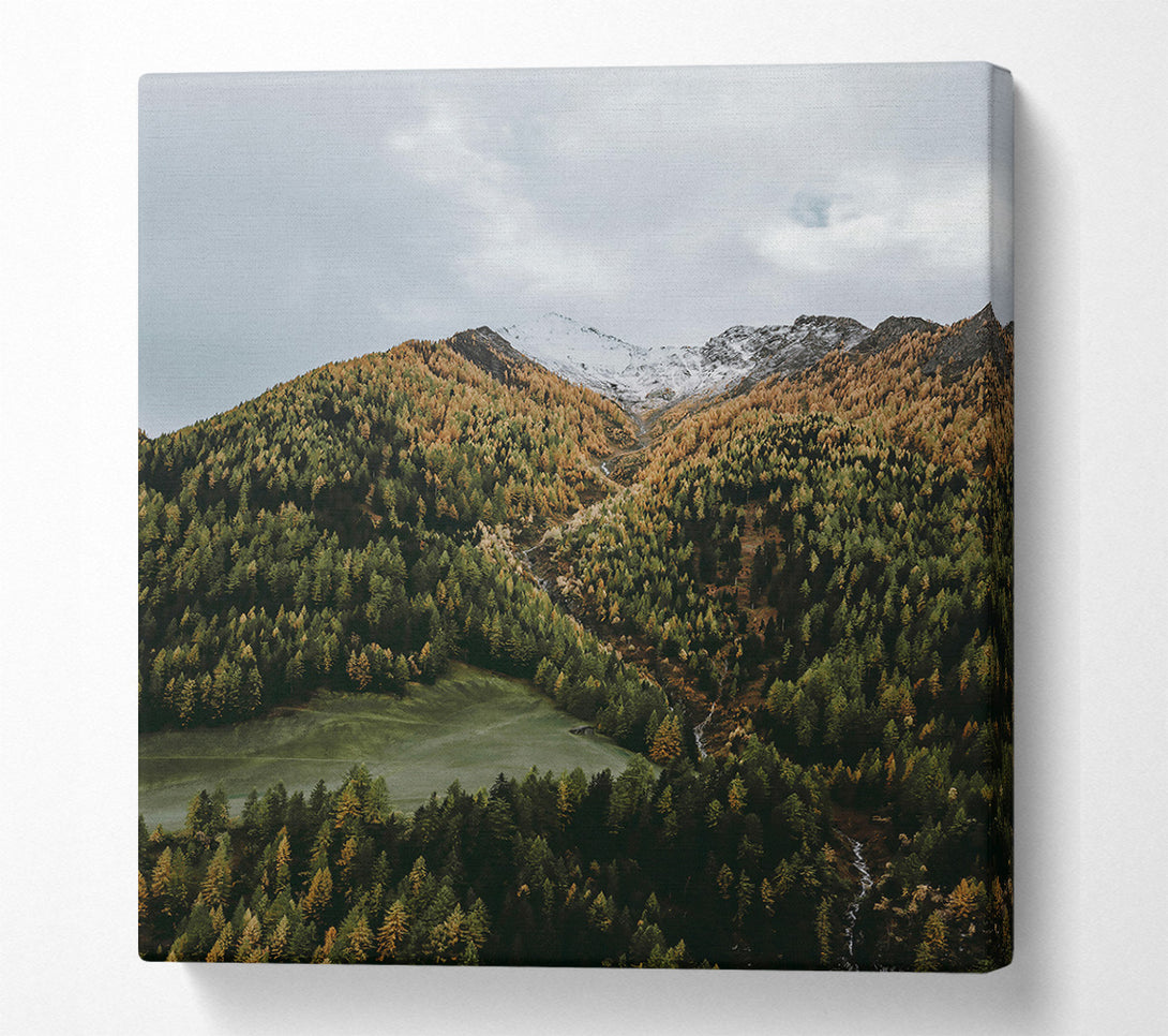  A Canvas Print of Emerald Valley Peaks Canvas Art