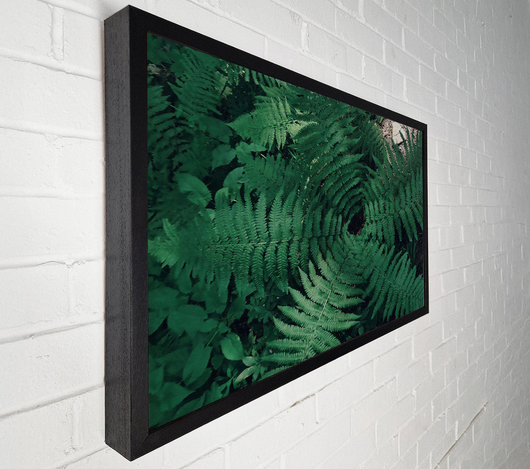  A Canvas Print of Emerald Fern Embrace Canvas Print