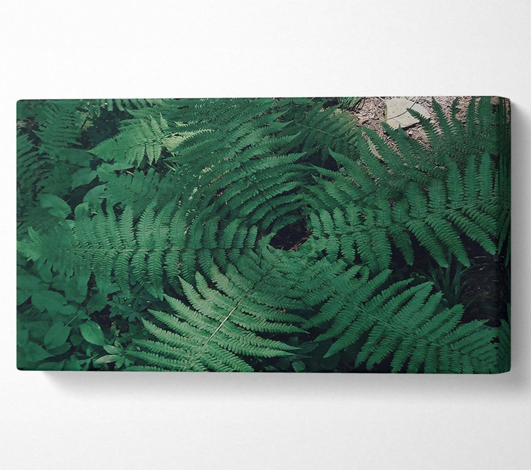  A Canvas Print of Emerald Fern Embrace Canvas Print