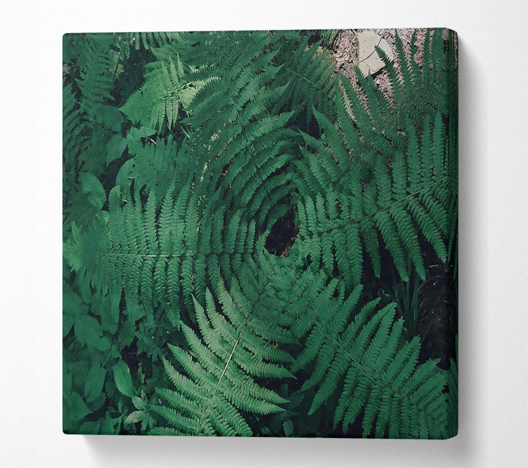  A Canvas Print of Emerald Fern Embrace Canvas Print