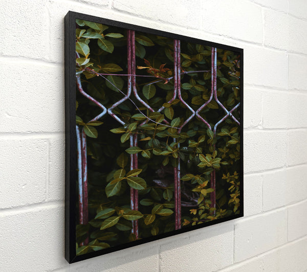 Rusty Green Enclosure