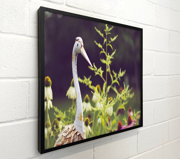 White Bird In Bloom
