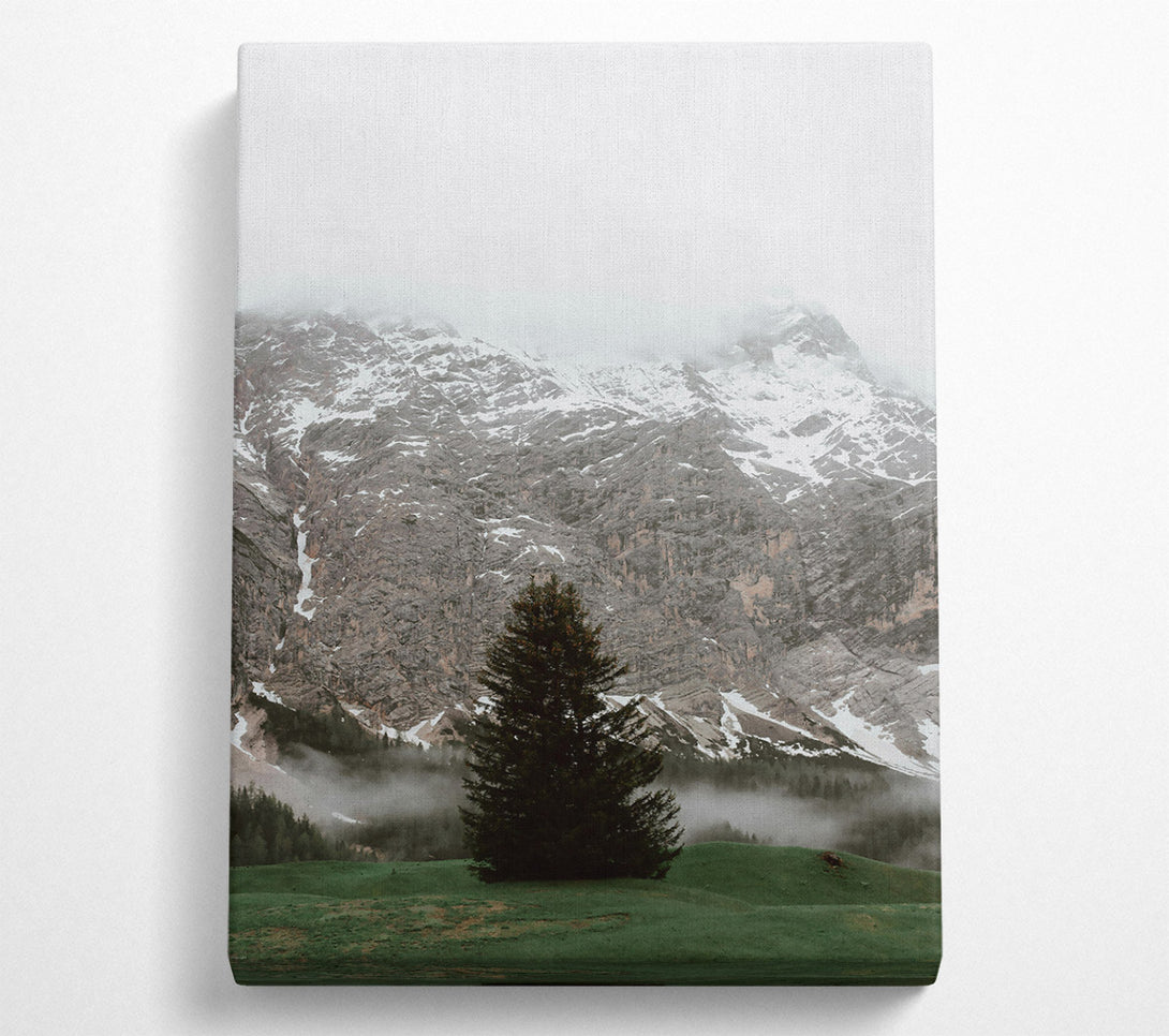  A Canvas Print of Green Mountain Mist Canvas Print