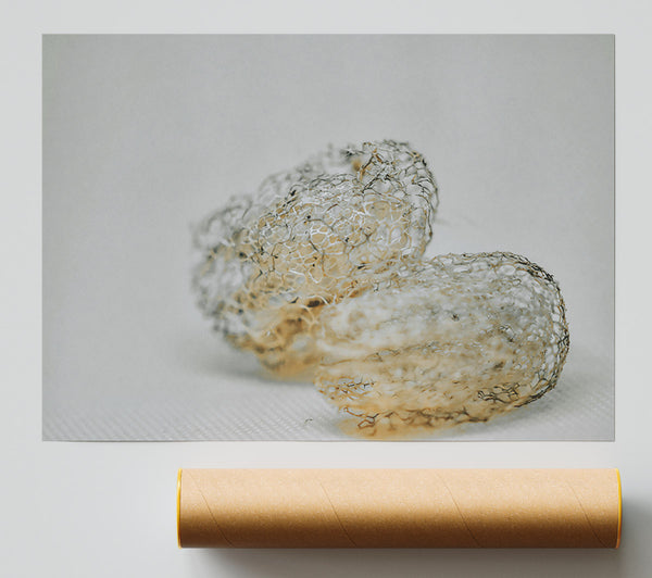 The Pale Lacework Poster