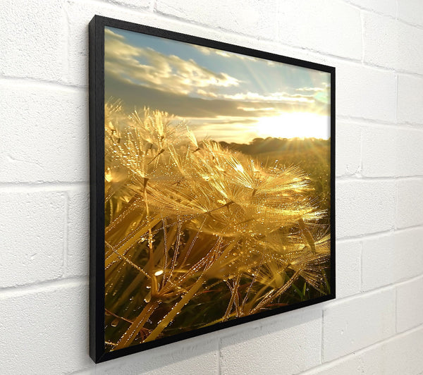 Golden Dewdrops Sunset