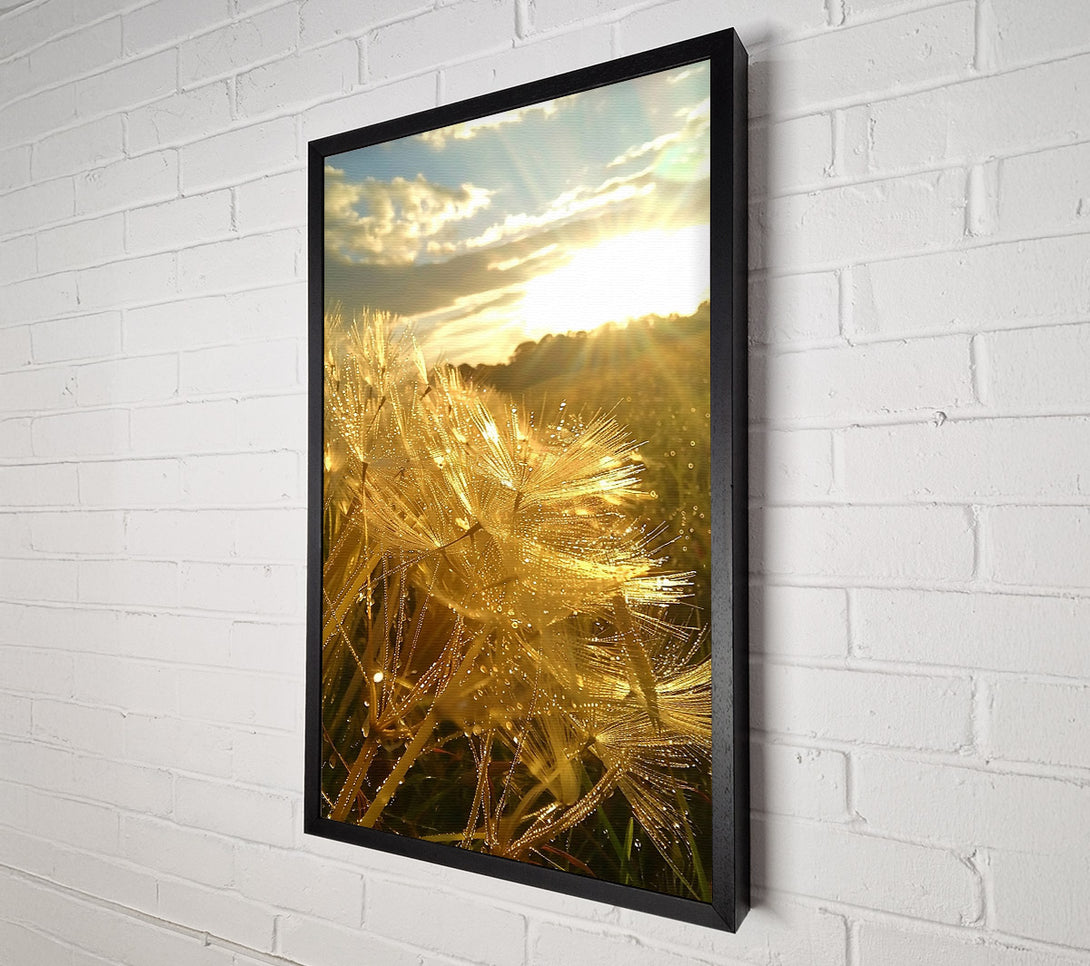  A Canvas Print of Golden Dewdrops Sunset Canvas Art