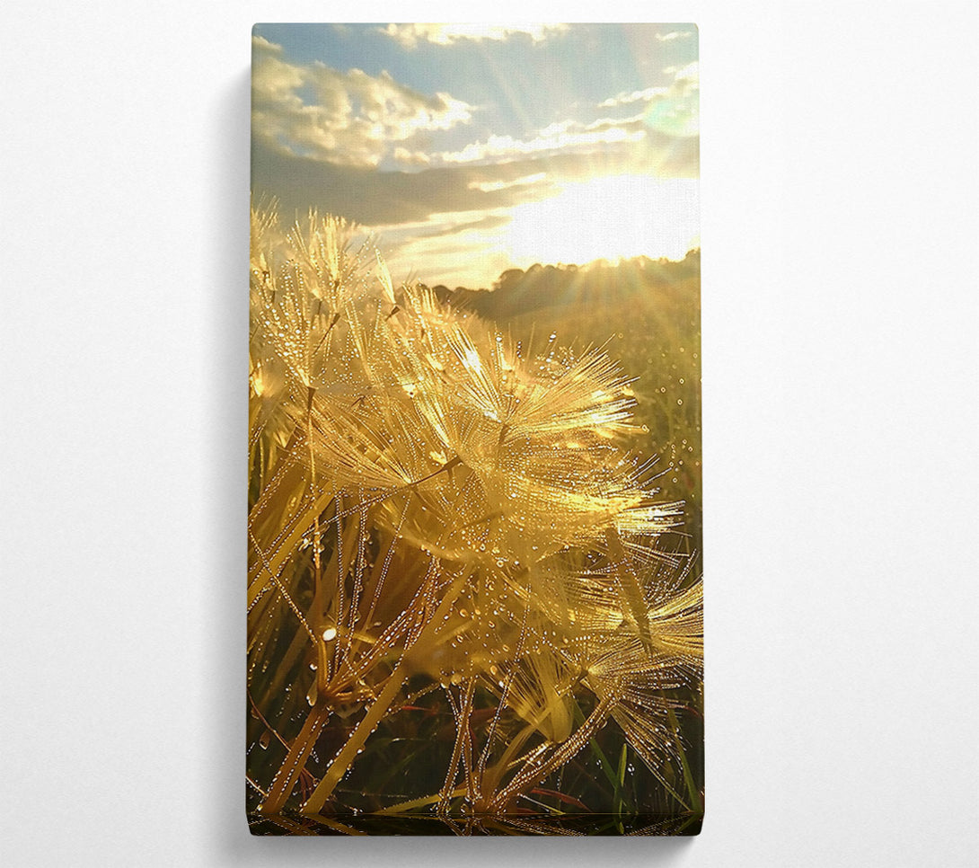  A Canvas Print of Golden Dewdrops Sunset Canvas Art