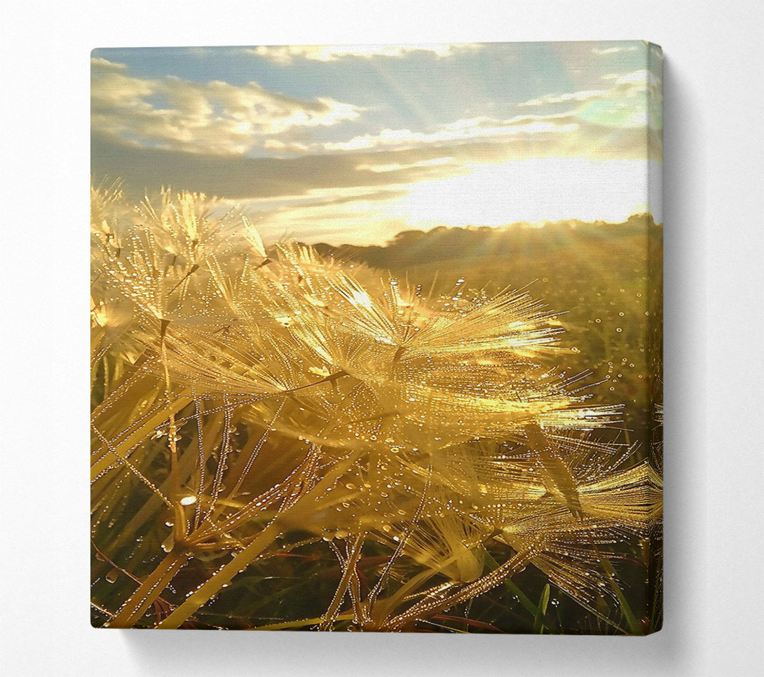  A Canvas Print of Golden Dewdrops Sunset Canvas Art