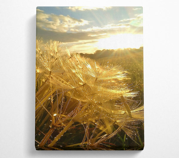  A Canvas Print of Golden Dewdrops Sunset Canvas Art