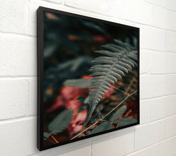 Green Fern And Red Hues