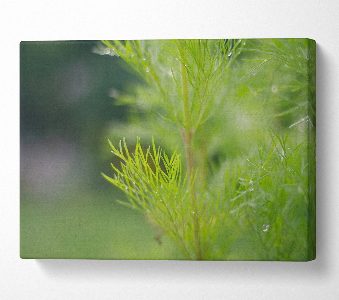  A Canvas Print of Emerald Dew Drops Canvas Wall Art