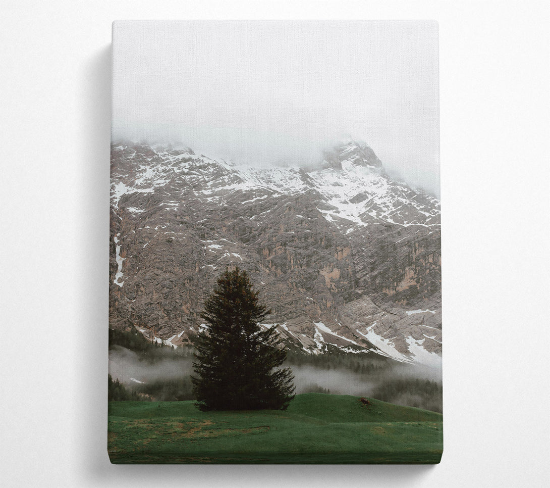  A Canvas Print of Green Mountain Solitude Canvas Art