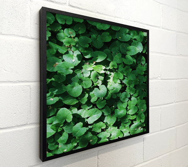 Emerald Green Blanket