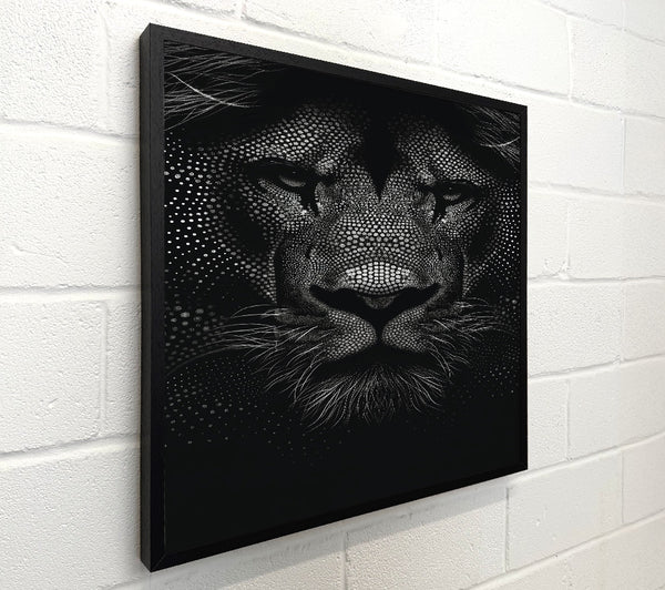 White Lion'S Gaze