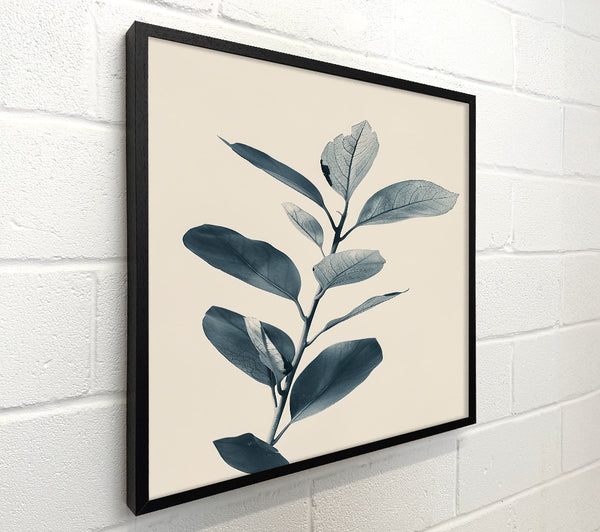 Indigo Branch Study