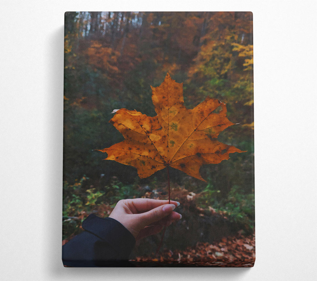  A Canvas Print of Golden Autumn Leaf Canvas Art