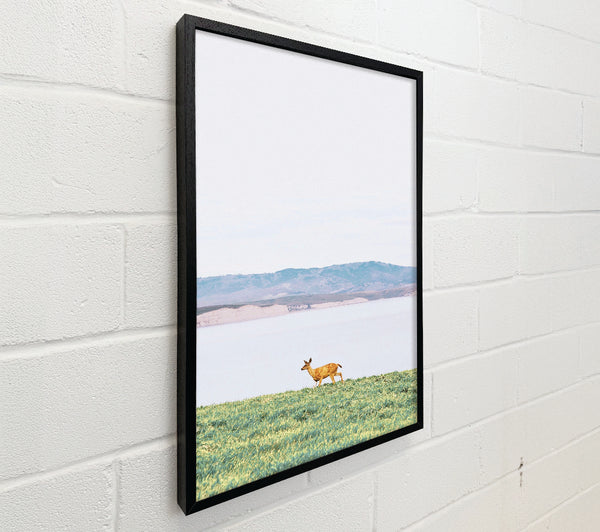 Deer With Lake Landscape