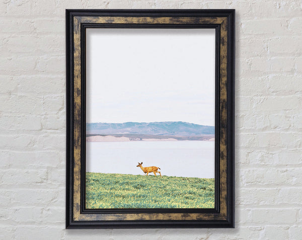 Deer With Lake Landscape Framed Print