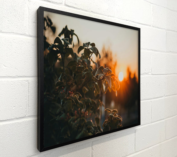 Orange Sunset Leaves