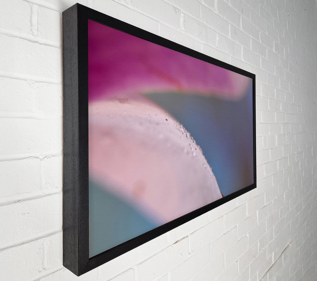  A Canvas Print of Pink Petal Dewdrops Canvas Art