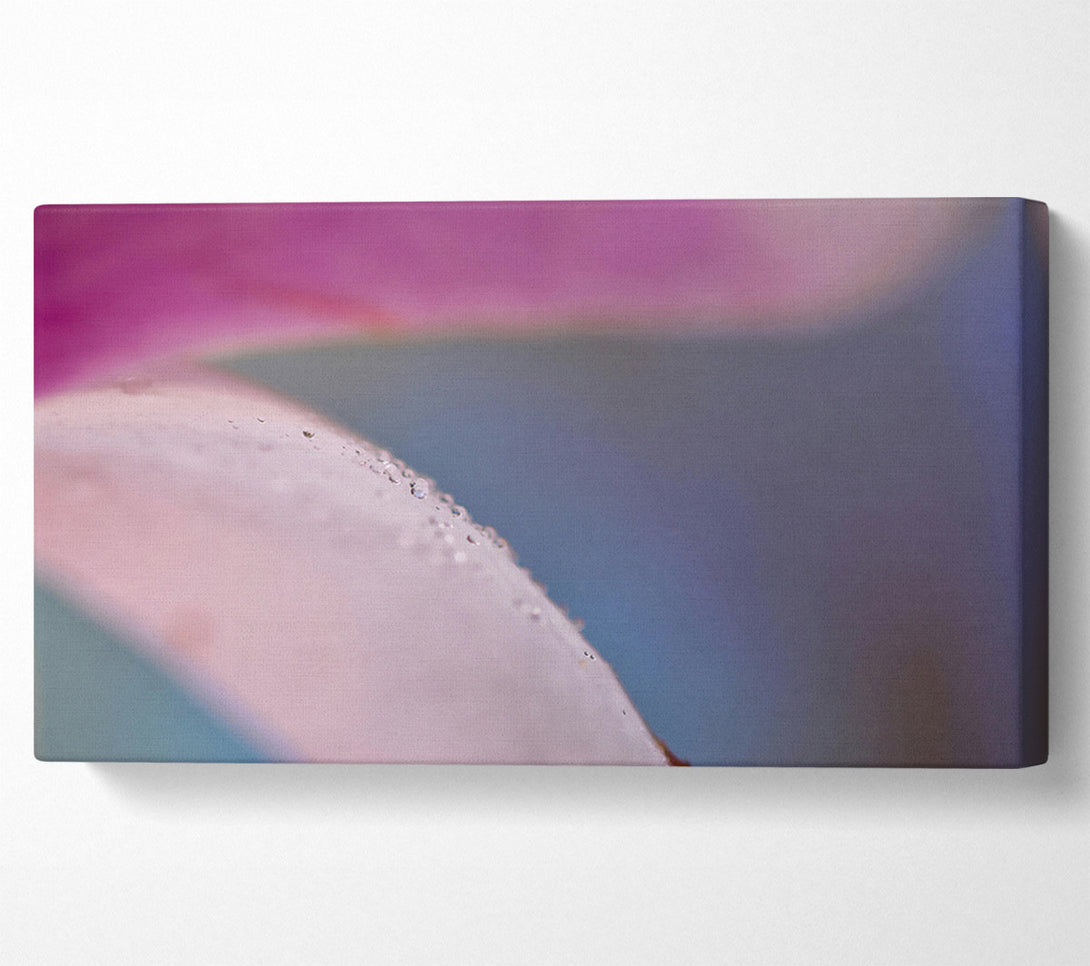  A Canvas Print of Pink Petal Dewdrops Canvas Art
