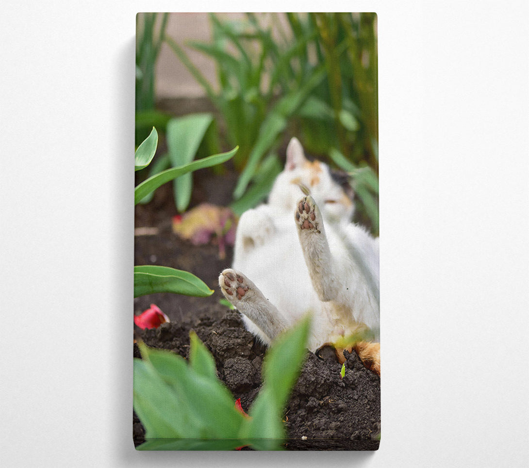  A Canvas Print of White Paws In The Dirt Canvas Print