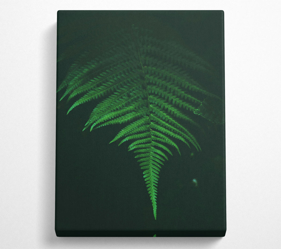  A Canvas Print of Emerald Fern Frond Canvas Wall Art