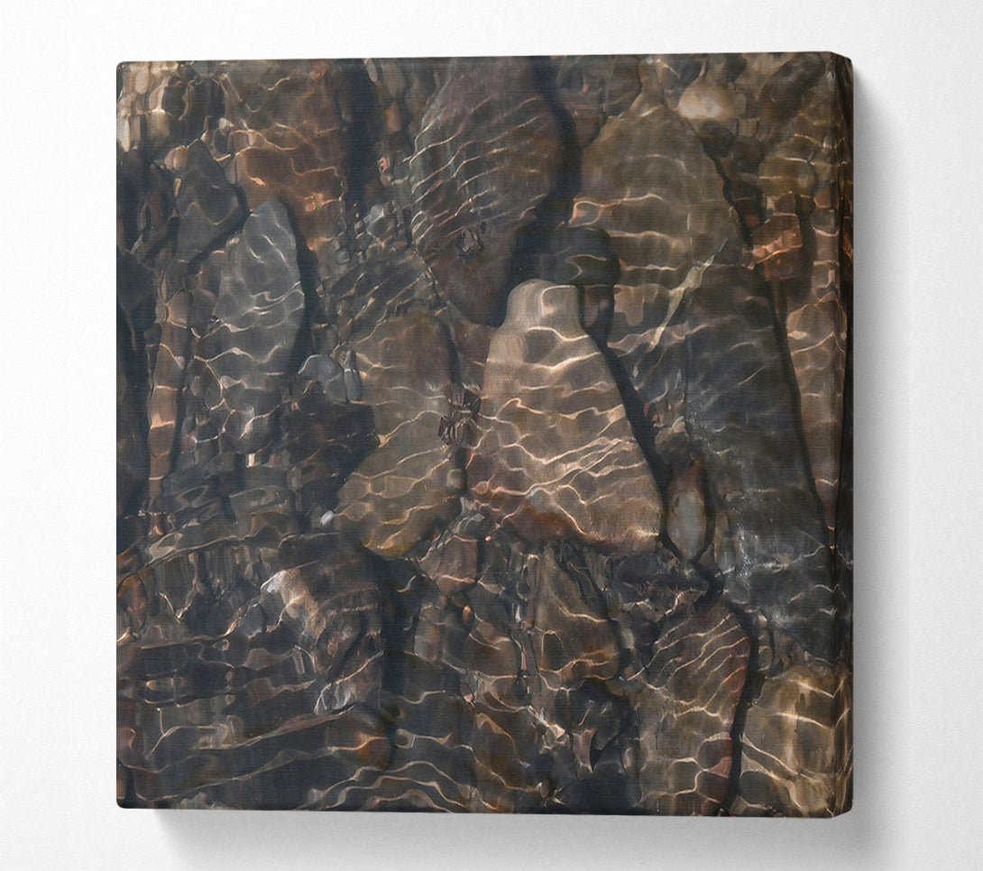  A Canvas Print of Submerged Bronze Reflections Canvas Print