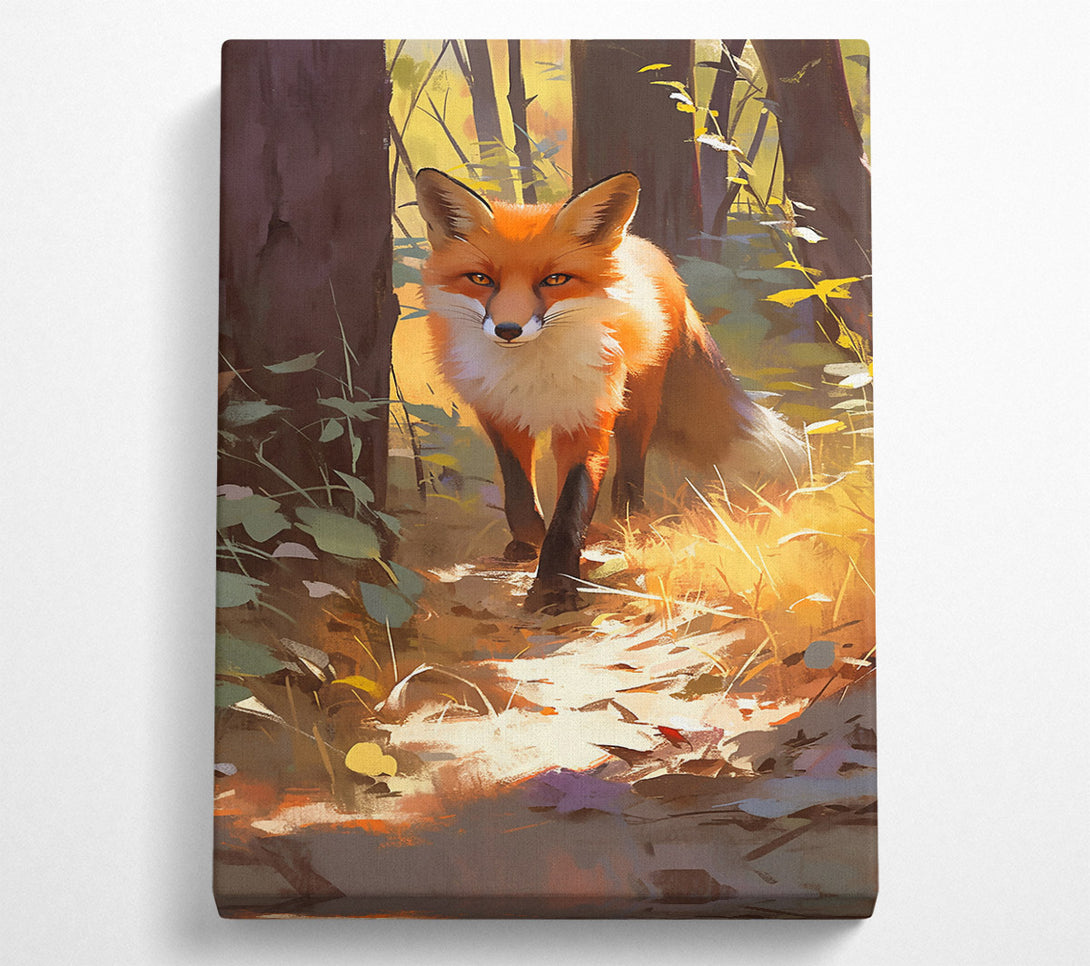  A Canvas Print of Golden Fox Path Canvas Art