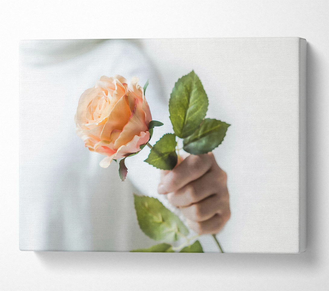  A Canvas Print of Peach Rose Bloom Canvas Wall Art