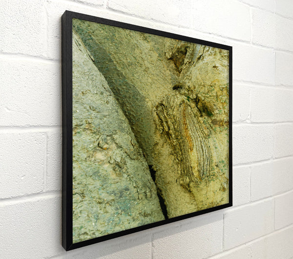 Green Tree Bark Embrace