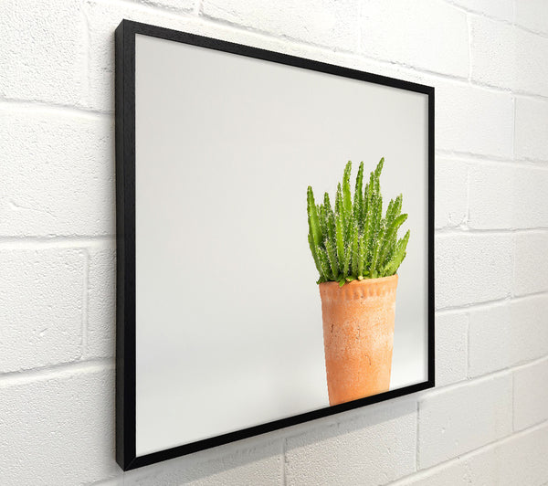 Terracotta Green Cactus