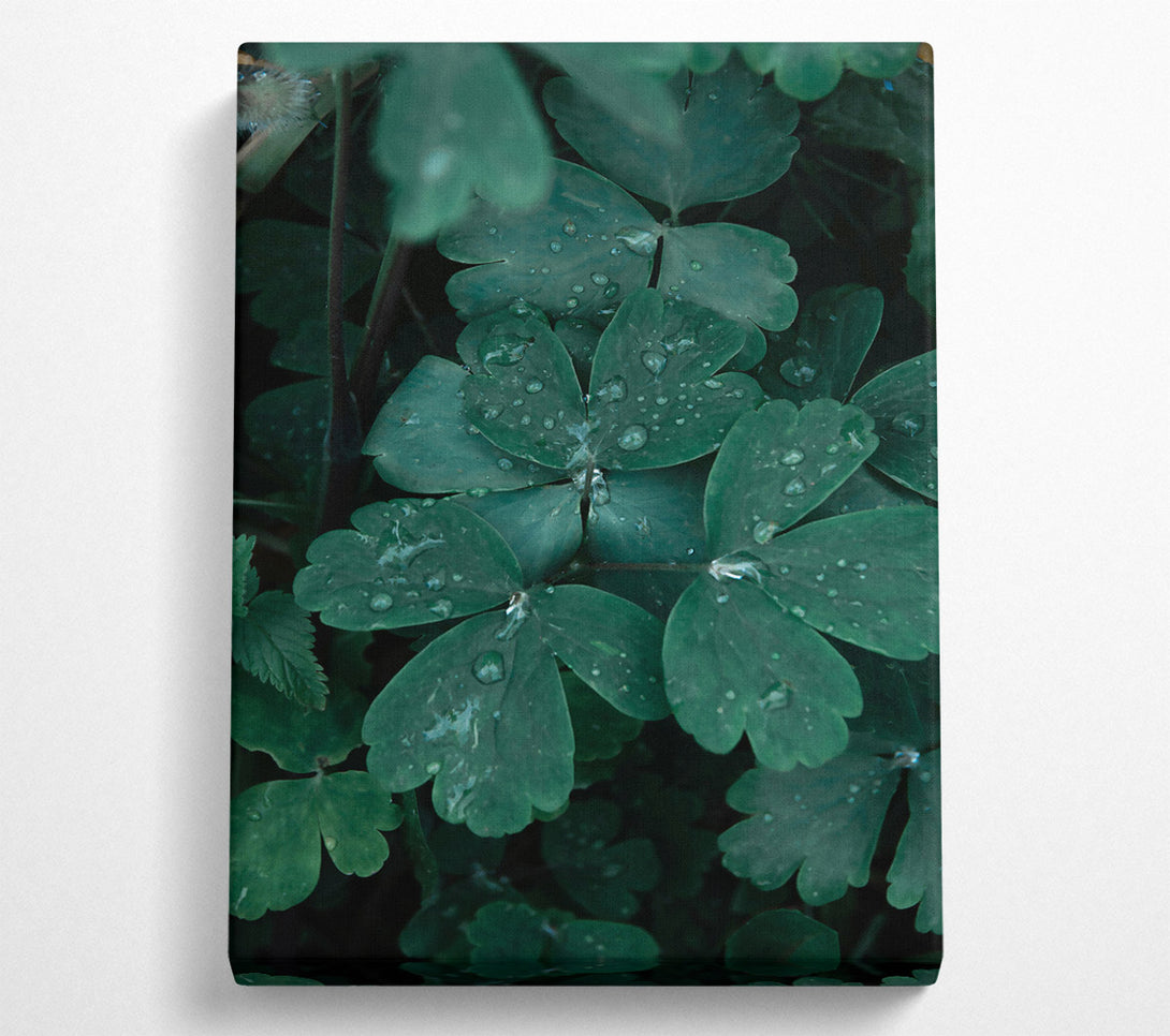  A Canvas Print of Emerald Dew Drops Canvas Wall Art