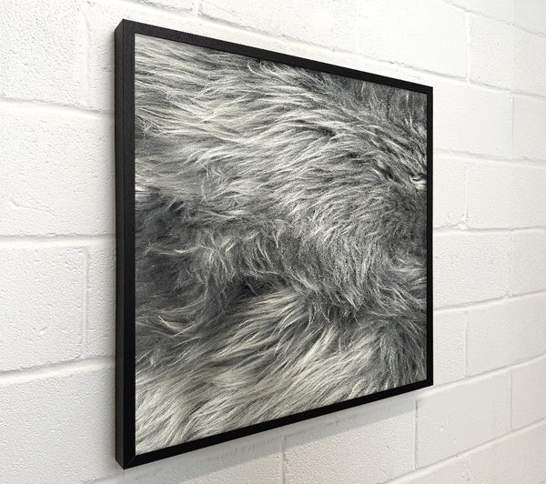 Silver Grey Furry Texture