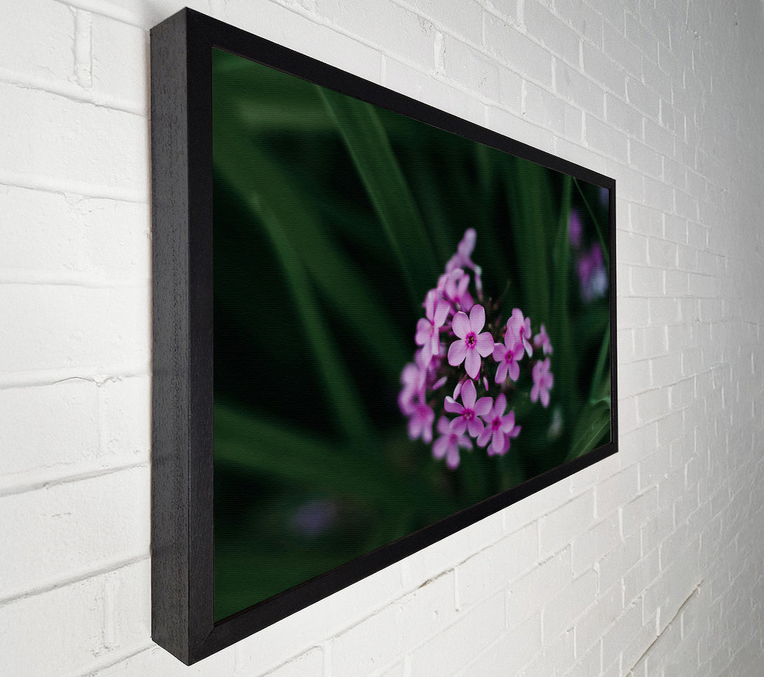  A Canvas Print of Pink Blooms In The Green Canvas Print