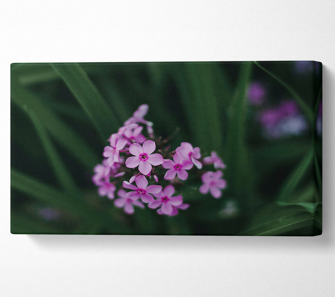  A Canvas Print of Pink Blooms In The Green Canvas Print