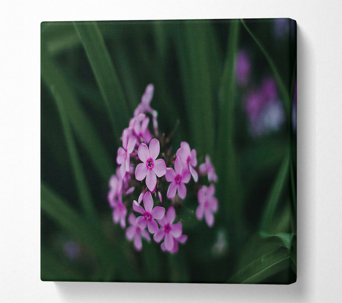  A Canvas Print of Pink Blooms In The Green Canvas Print