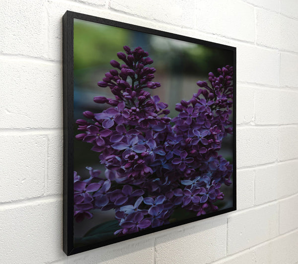 Purple Lilac Bouquet