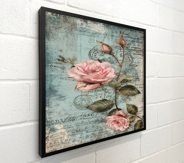 Blue And Pink Roses