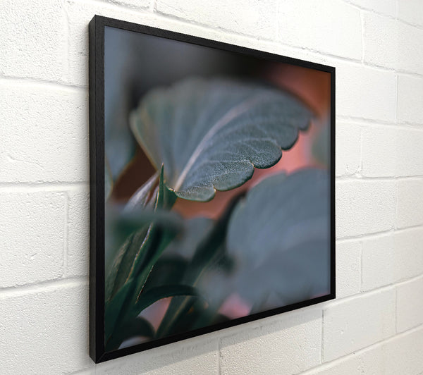 Emerald Leaf Detail