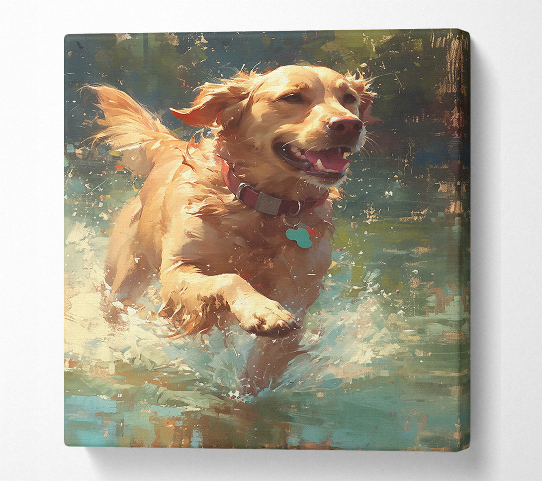  A Canvas Print of Golden Joy In Water Canvas Art